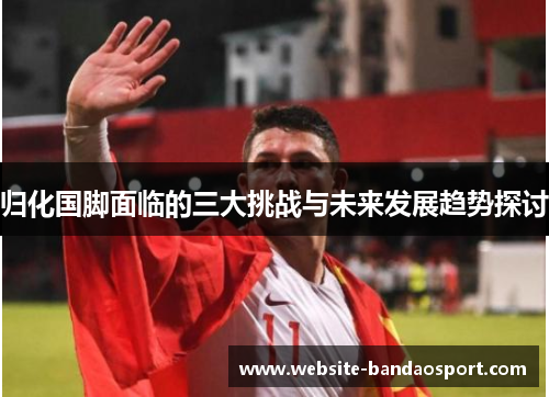 归化国脚面临的三大挑战与未来发展趋势探讨