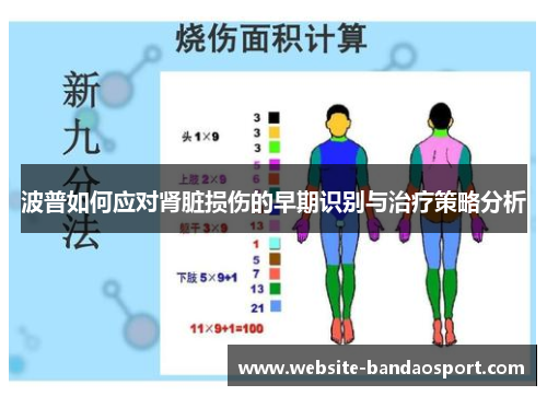 波普如何应对肾脏损伤的早期识别与治疗策略分析