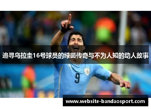 追寻乌拉圭16号球员的绿茵传奇与不为人知的动人故事