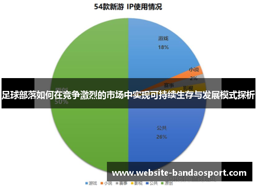 足球部落如何在竞争激烈的市场中实现可持续生存与发展模式探析 足球部落如何在竞争激烈的市场中实现可持续生存与发展模式探析