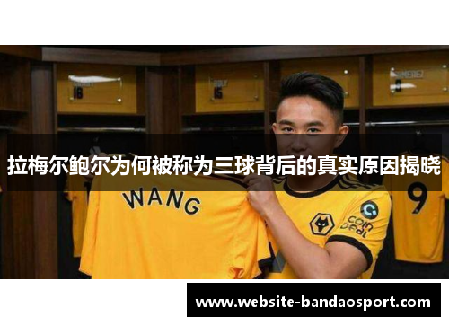 拉梅尔鲍尔为何被称为三球背后的真实原因揭晓 拉梅尔鲍尔为何被称为三球背后的真实原因揭晓