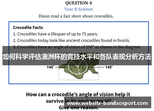 如何科学评估澳洲杯的竞技水平和各队表现分析方法 如何科学评估澳洲杯的竞技水平和各队表现分析方法