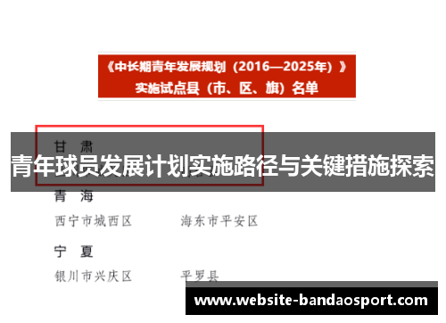 青年球员发展计划实施路径与关键措施探索