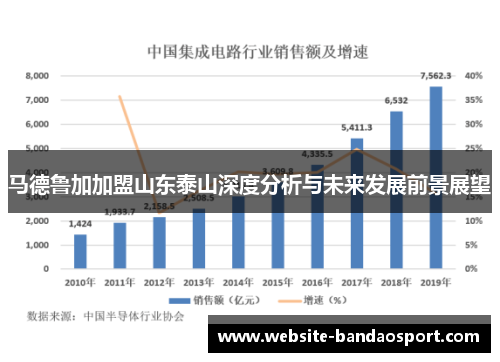 马德鲁加加盟山东泰山深度分析与未来发展前景展望